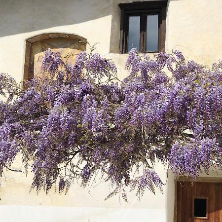 فيلا Agropobitzer ماليس فينوستا المظهر الخارجي الصورة